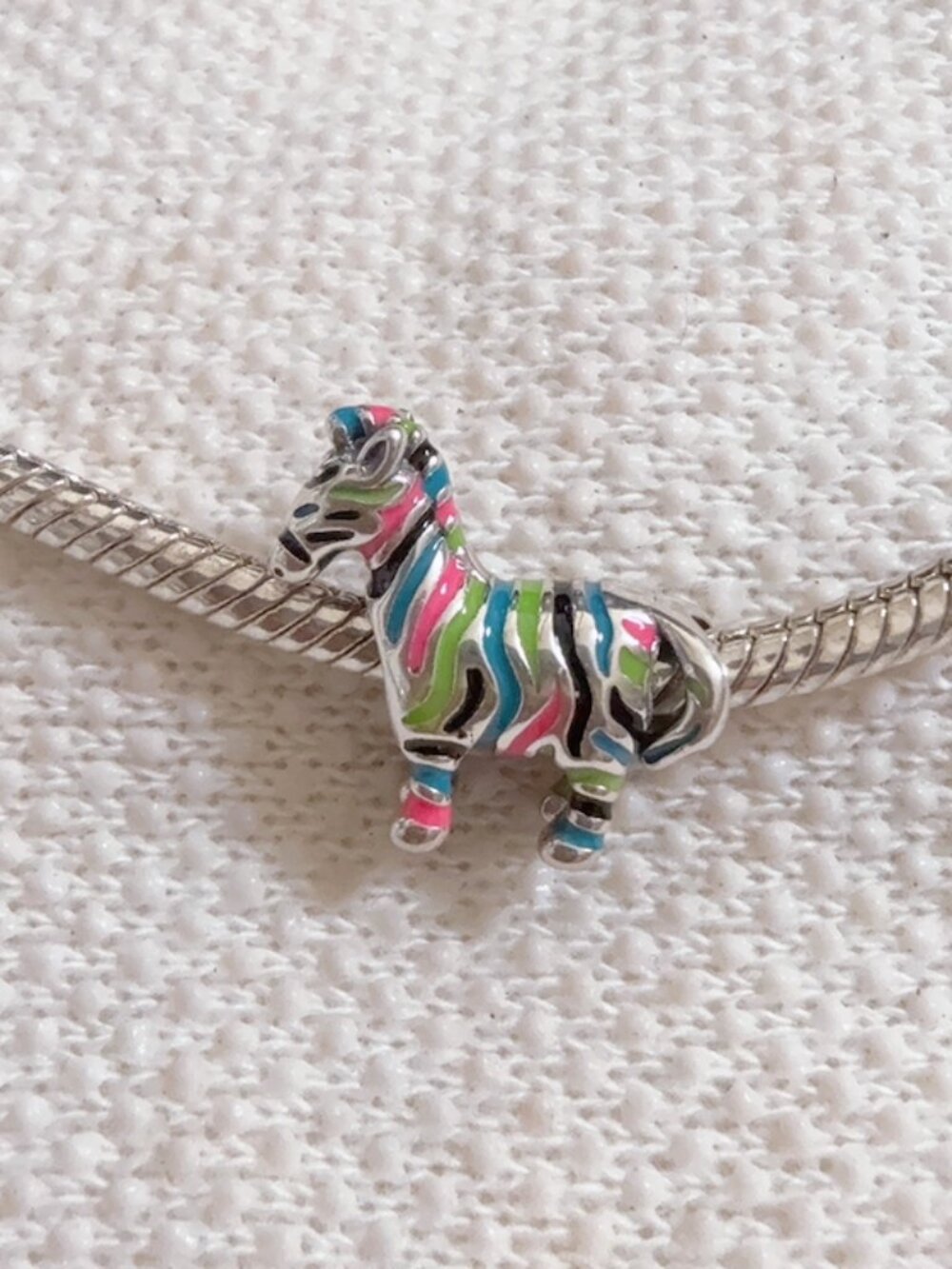 Rainbow Strip Zebra Charm Silver Charm Fit Pandora Bracelet